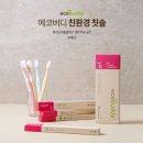 덴탈버디 이미지