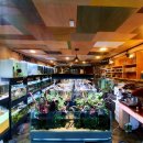 플랜츠비 이미지