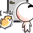 삼층고양이 이미지