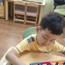 여름 곤충의 서식지 구성하기 이미지