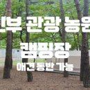 진부관광농원 이미지