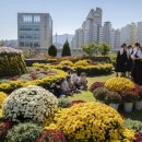 서구청 옥상생태공원 이미지