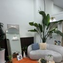 회천남로 | [양주] 옥정 속눈썹 맛집_카라멜뷰티