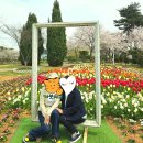 낙조보러가는길 | 안면도 튤립을 보러갔는데 , 왜 튤립보다 다른 것이 남았을까?