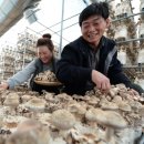 내탐마을 이미지