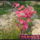 여난농장 이미지