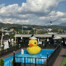 라그릴스2 | 용인 아기랑 갈만한곳 셀프바베큐장 라그릴스 , 1사이트 이용 실내놀이방 , 야외놀이터 등