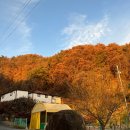 써니힐글램핑 | [강원/횡성/국내여행] “써니힐 글램핑” - 11월 글램핑, 날씨, 글램핑장보기, 준비물, 내돈내산 후기