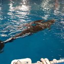 울산광역시남구도시관리공단(장생포고래생태체험관) 이미지