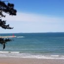 레오하우스 이미지