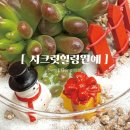 전대마을학교 원예치료 | 서울원데이클래스 원예치료 나만의 테라리움 만들기 _ 시크릿힐링원예