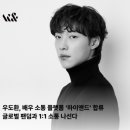 하이엔드 독 이미지