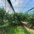 거운농장 이미지