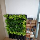 수직의 정원 이미지