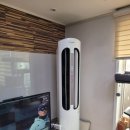 인헌약품 | [관악구 에어컨청소] 타업체 포기 기종! 캐리어 에어로 18단 스탠드 완전분해 (고양이털+곰팡이 박멸)