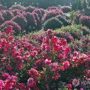 제주의계절
