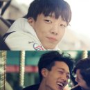 하이바비 쿠키뉴스