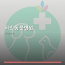 하일동물병원