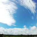 애월감성 이미지