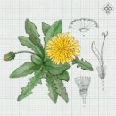 하루온실