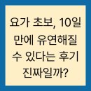 요가 초보, 10일 만에 유연해질 수 있다는 후기 진짜일까?