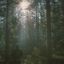 서울일등재활의학과의원 이미지