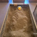 수락산 편백원 | 가족 힐링 겨울여행 의정부 효소찜질 수락산편백원 가격 주차 예약 내돈내산 후기