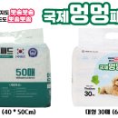 자미애견 이미지