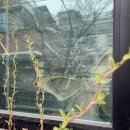 크린밸리(괴정점) 이미지