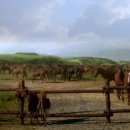 다우목장 이미지