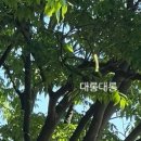 이*실 - 미추홀구 매소홀로309번길 32 | 이*실