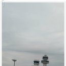 평지돌담집