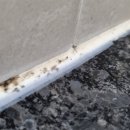 근화신성미소지움 이미지