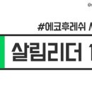 파란에코