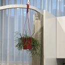 따뜻할 온 한의원 이미지