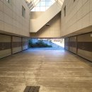 힐링무인텔 | 🌟 [경북/칠곡군] 애플모텔 체험단 후기 — 조용하고 편리한 무인텔 숙박 경험 🛏️✨