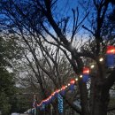 영남알프스 복합웰컴센터 알프스시네마(1,2관) | [울산/언양]영남알프스 복합웰컴센터 알프스시네마에서 영화 보스 관람