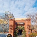 신짜오 | 대구 수성못 맛집 신짜오 쌀국수 뿌빳뽕커리 내돈내산 리얼후기