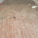 동신조명 이미지