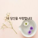 자연들 이미지