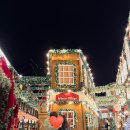 라테라스 코브 스위트 | (여수여행)여수라테라스 윈터빌리지+코브스위트 내돈내산 비추 후기