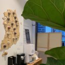 더힐한의원 이미지