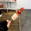 악쓰는하마코인노래연습장 신촌점 이미지