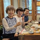 들메꽃 Daum카페