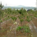 늘푸른농장2 이미지