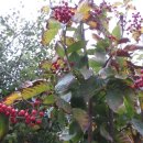 고향농장 이미지