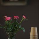 커피플랜트 - 안산시 상록구 성안1길 30 | 커피플랜트
