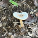 샘골공원1 이미지