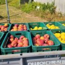 한솔농장 이미지