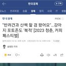 나 뭐 자랑해도됨? 강아지랑 커피축제 갔다가 강쥐 사진찍히고 기사데뷔했다ㅎㅎㅎ 이미지